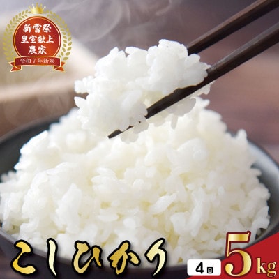 【毎月定期便】4ヵ月連続でお届け!「コシヒカリ」定期便 5kg全4回