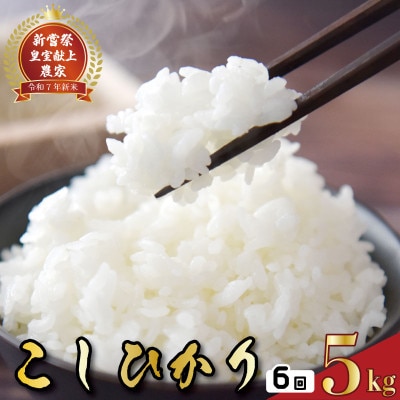 【毎月定期便】6ヵ月連続でお届け!「コシヒカリ」定期便5kg全6回