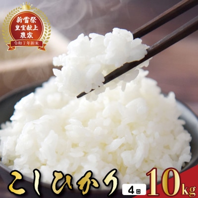 【毎月定期便】4ヵ月連続でお届け!「コシヒカリ」定期便 10kg全4回