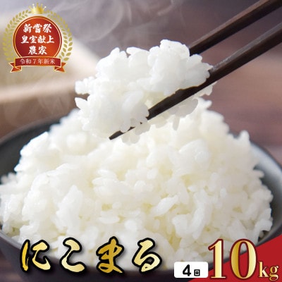 【毎月定期便】4ヵ月連続でお届け!「にこまる」定期便 10kg 全4回