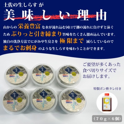 土佐のお刺身「生しらす」6個セット <しらす出汁を使った特製のポン酢タレ付き>