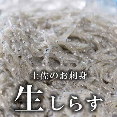 土佐のお刺身「生しらす」3個セット <しらす出汁を使った特製のポン酢タレ付き>