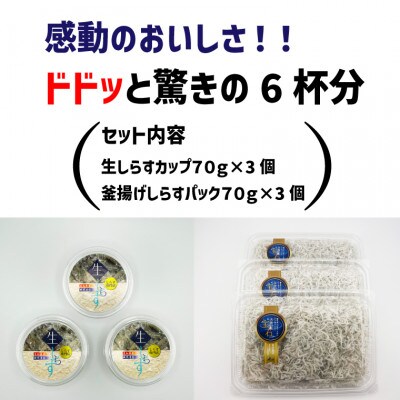 迷ったらコレ!生・釜ドドド丼セット