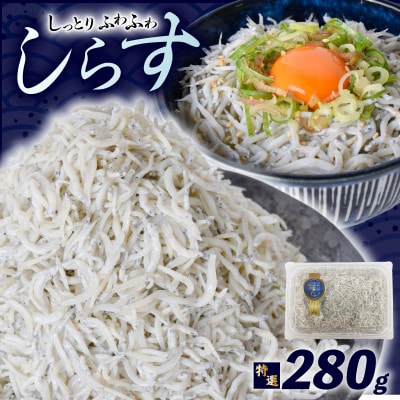 釜揚げしらす 約280g 【天使の宝石】