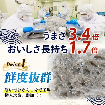 釜揚げしらす 約280g 【天使の宝石】
