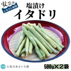 塩漬けイタドリ 500g&times;2袋