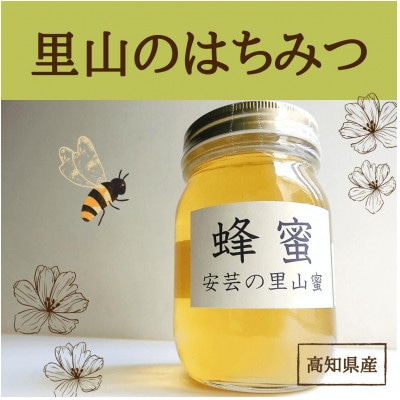 安芸の里山蜜　500g×2本セット