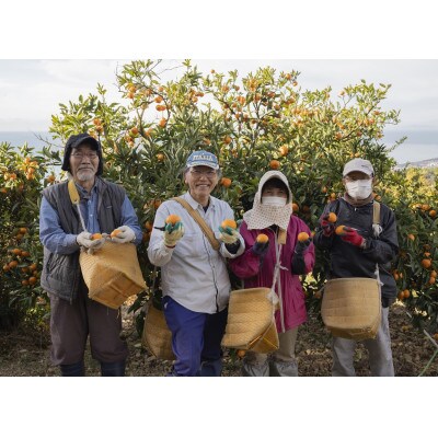 「アカメの国農園」特選みかん 家庭用 10kg