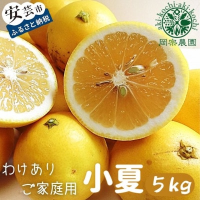 メリーガーデンの小夏　ワケありご家庭用　5kg