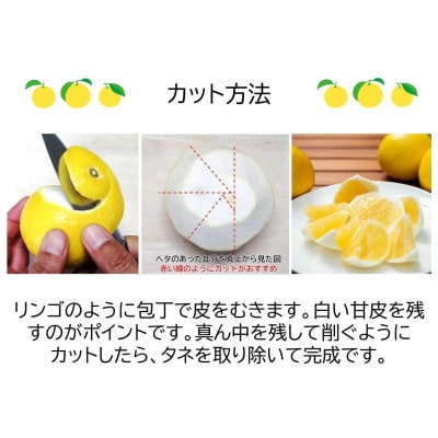 メリーガーデンの小夏　ワケありご家庭用　5kg