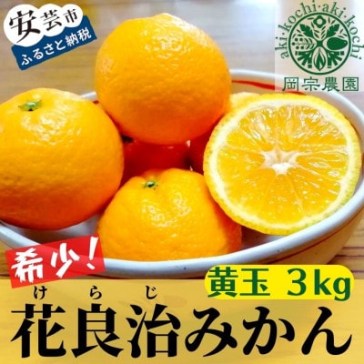 【2024年12月より順次出荷予定】岡宗農園の花良治(ケラジ)みかん 黄玉 3kg