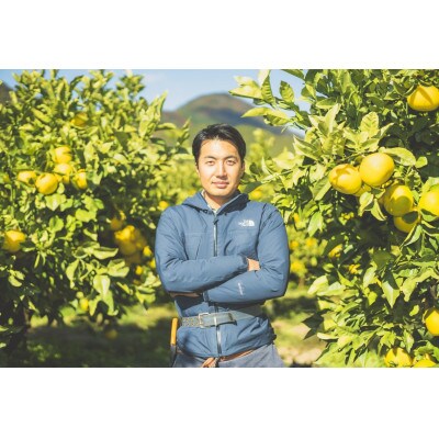 『和み』大北果樹園の土佐文旦 2Lサイズ 6玉  ご家庭用【訳アリ】