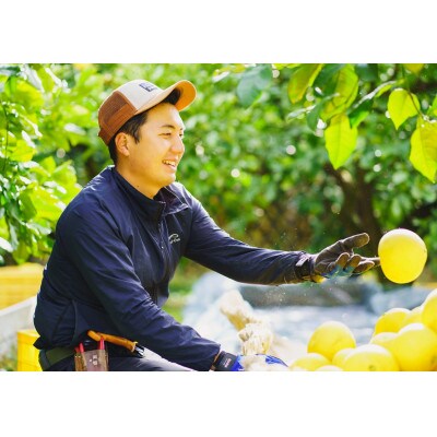 『和み』大北果樹園の土佐文旦 2Lサイズ 6玉  ご家庭用【訳アリ】