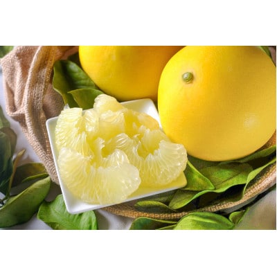 『煌めき』大北果樹園の土佐文旦 約3キロ(5～6玉)【贈答用】