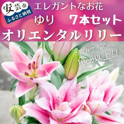 ユリ(オリエンタルリリー)7本セット