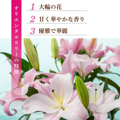 ユリ(オリエンタルリリー)7本セット