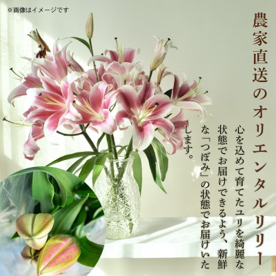 ユリ(オリエンタルリリー)7本セット