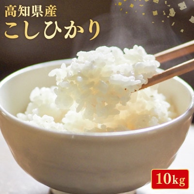 こしひかり 10kg 令和7年産 白米