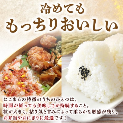 にこまる 10kg 令和7年産 白米