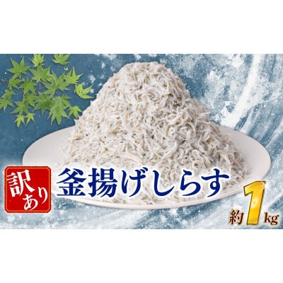 訳あり釜揚げしらす　1kg