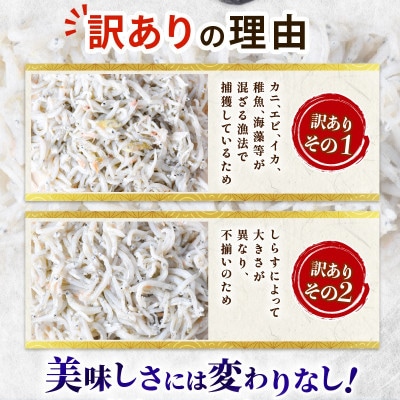 訳あり釜揚げしらす　1kg