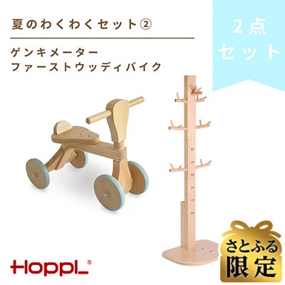 【さとふる限定】HOPPL(ホップル)夏のわくわくセット3【複数個口で配送】