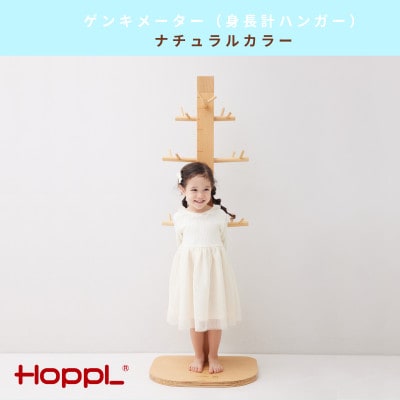 【さとふる限定】HOPPL(ホップル)夏のわくわくセット3【複数個口で配送】