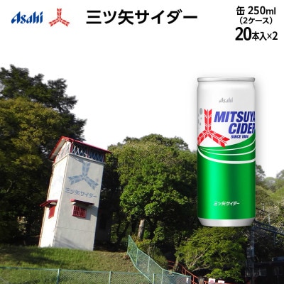三ツ矢サイダー　缶250ml×40本 (20本入×2ケース)
