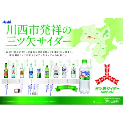 三ツ矢サイダー　缶250ml×40本 (20本入×2ケース)