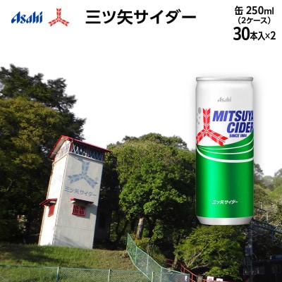 三ツ矢サイダー　缶250ml×60本 (30本入×2ケース)