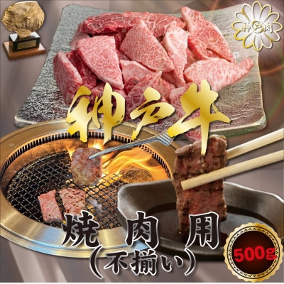神戸牛(神戸ビーフ) 焼肉用(不揃い) 500g KNY1