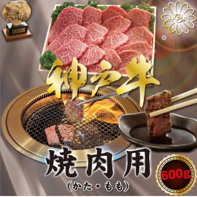 神戸牛(神戸ビーフ) 焼肉用 600g KNY2