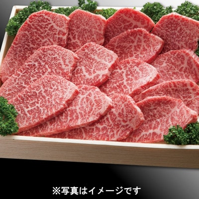 神戸牛(神戸ビーフ) 焼肉用 600g KNY2