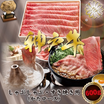 神戸牛(神戸ビーフ) しゃぶしゃぶすき焼き用 600g KNS3