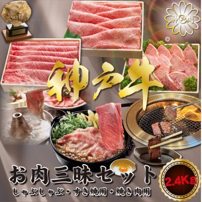神戸牛(神戸ビーフ) お肉三昧セット 2400g KNSYS10