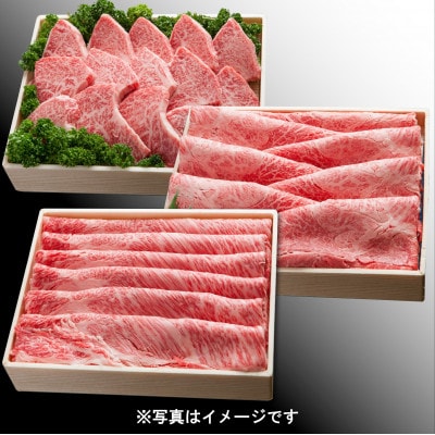 神戸牛(神戸ビーフ) お肉三昧セット 2400g KNSYS10
