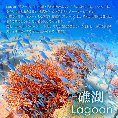 沖縄ダイビングサービス Lagoon商品券「9,000円分」