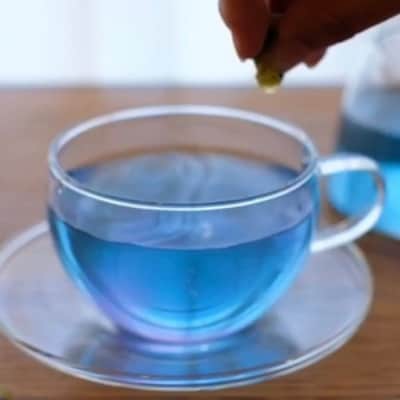 南の島恵み農園 色が変わる!!南の島恵み茶 3袋セット 24g(8g×3袋)