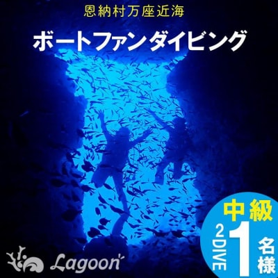 万座近海ファンダイビング中級2DIVE【恩納村ラグーン】