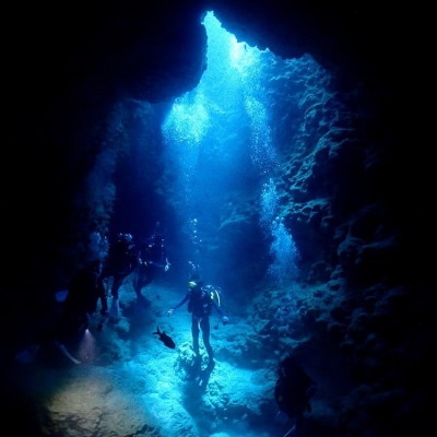 万座近海ファンダイビング中級2DIVE【恩納村ラグーン】