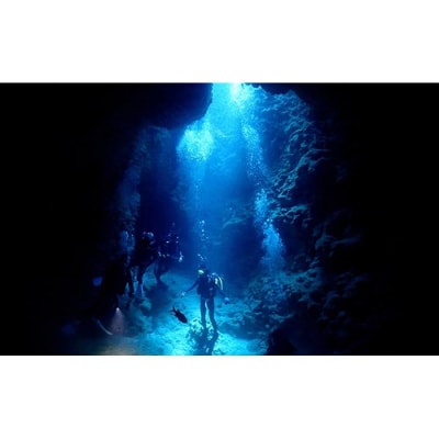 万座近海ファンダイビング中級2DIVE(2名or2日)【恩納村ラグーン】