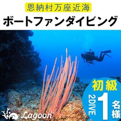 万座近海ファンダイビング初級2DIVE【恩納村ラグーン】