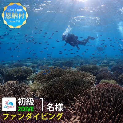 【恩納村ラグーン】ファンダイビング 初級 2DIVE 1名様