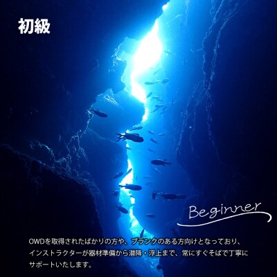 【恩納村ラグーン】ファンダイビング 初級 2DIVE 1名様