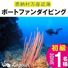 万座近海ファンダイビング初級3DIVE【恩納村ラグーン】