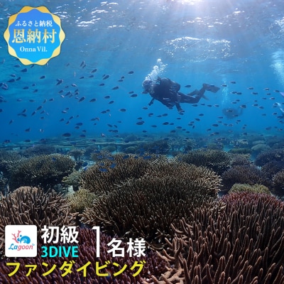 【恩納村ラグーン】ファンダイビング 初級 3DIVE 1名様