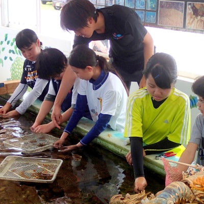 沖縄サンゴの村でサンゴ苗作り体験【恩納村ラグーン】