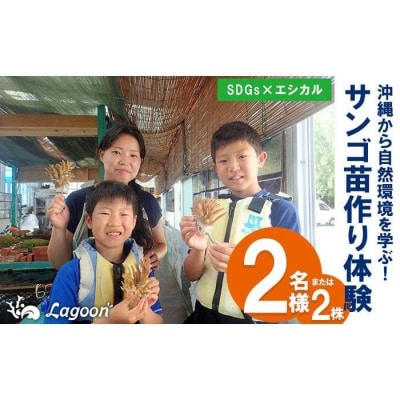 沖縄サンゴの村でサンゴ苗作り体験(2名または2株)【恩納村ラグーン】