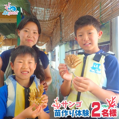 沖縄サンゴの村でサンゴ苗作り体験(2名または2株)【恩納村ラグーン】