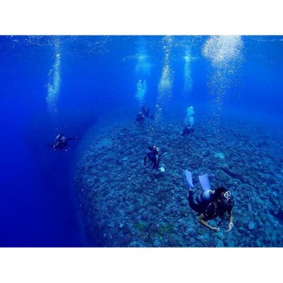 万座近海ファンダイビング初級2DIVE(2名or2日)【恩納村ラグーン】